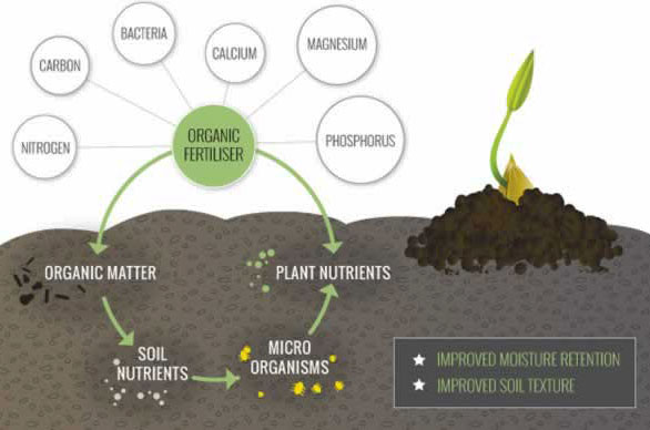 Effects of the key ingredients of organic fertilizer NK 10-4 on plants.