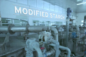 Modified starch plant in Vietnam.