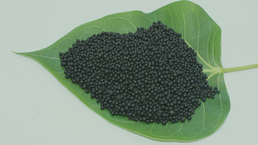 Organic NPK Fertilizer 8-2-4.