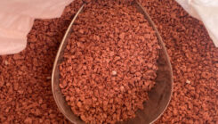 SOP vs MOP Fertilizer: Which One To Use?