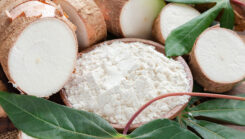 Vietnam Modified Tapioca Starch: Specs, Applications & Export Guide