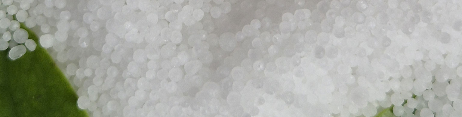 Vietnam Prilled Urea.