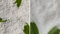 Vietnam Prilled Urea vs Granular Urea: Which One Should You Use?