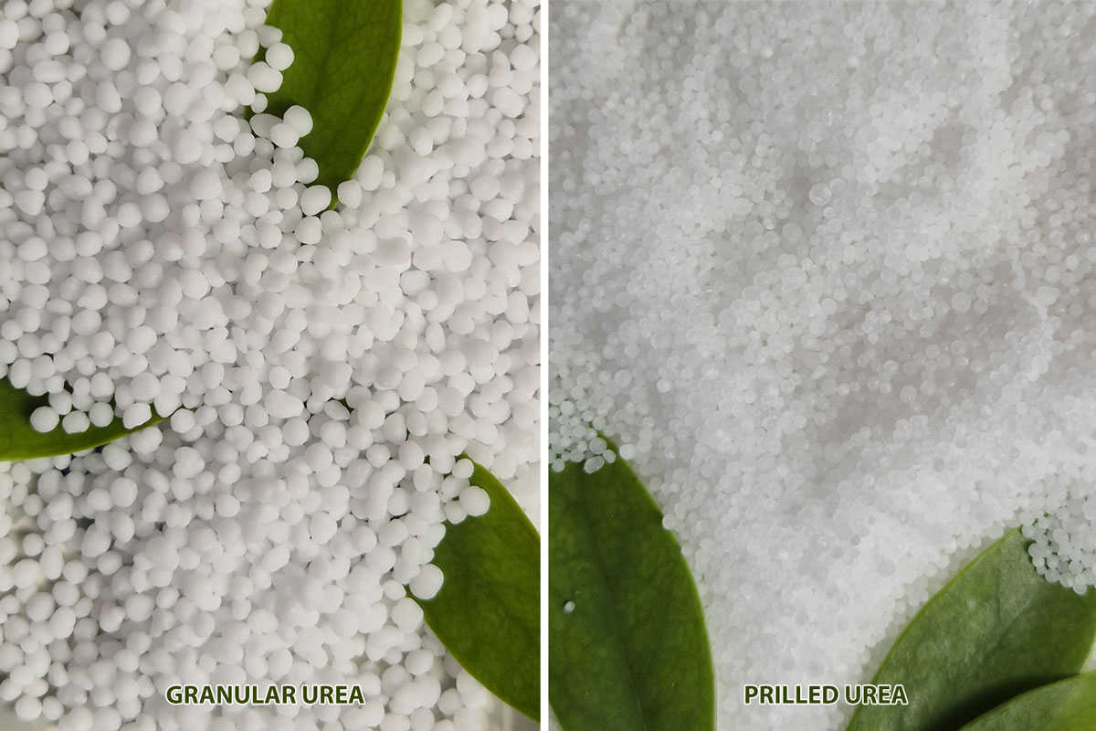 Vietnam urea prilled and granules.